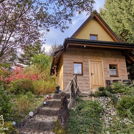 Villa Oaza Tatry III Zakopane Esterno foto
