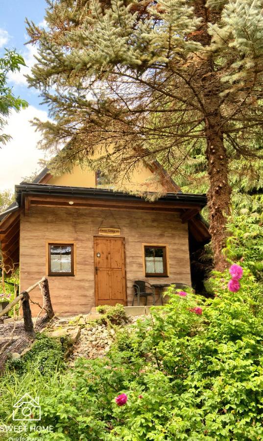 Villa Oaza Tatry III Zakopane Esterno foto