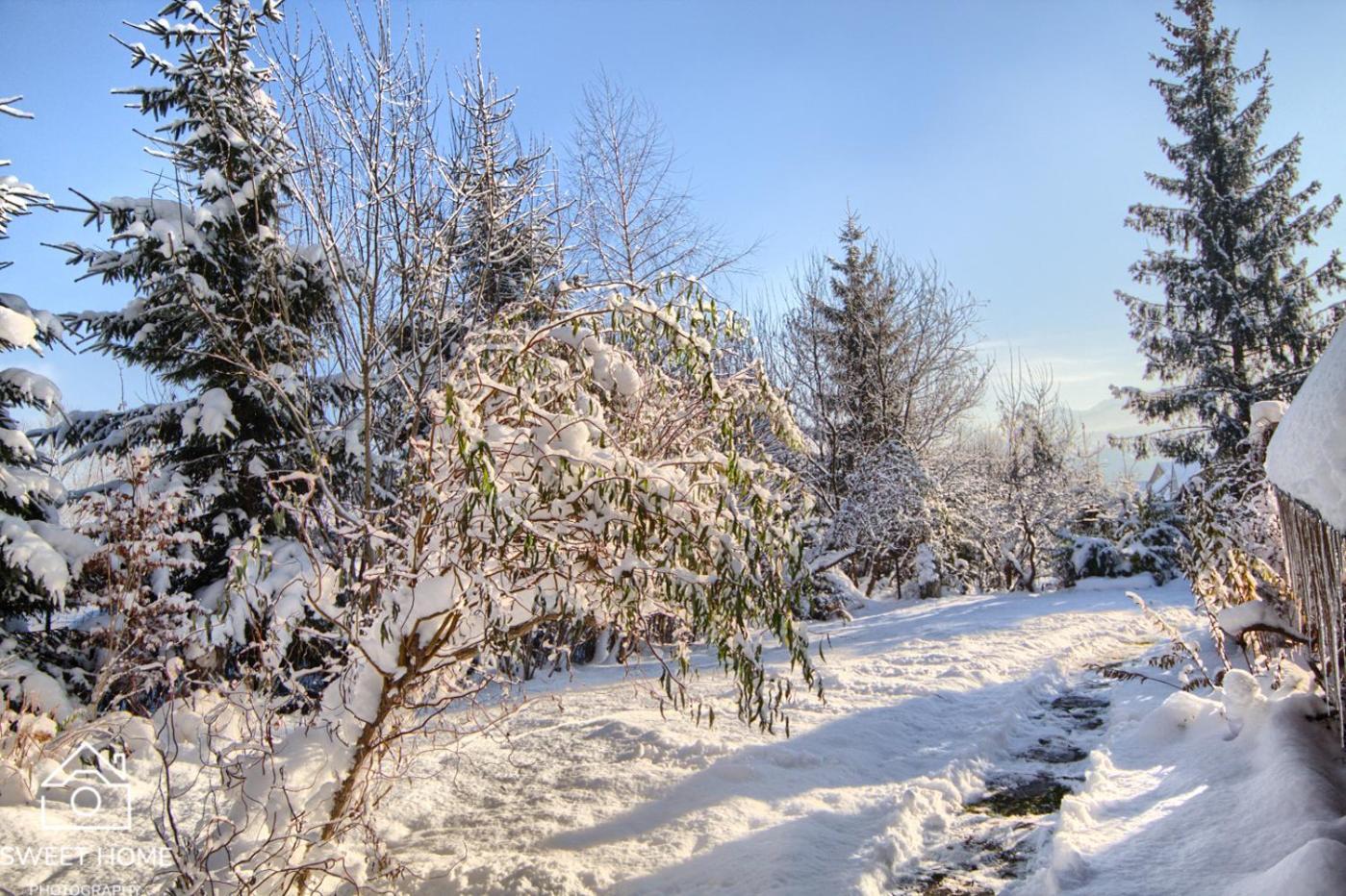 Villa Oaza Tatry III Zakopane Esterno foto
